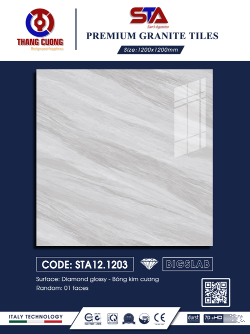 STA121203