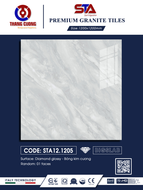 STA121205