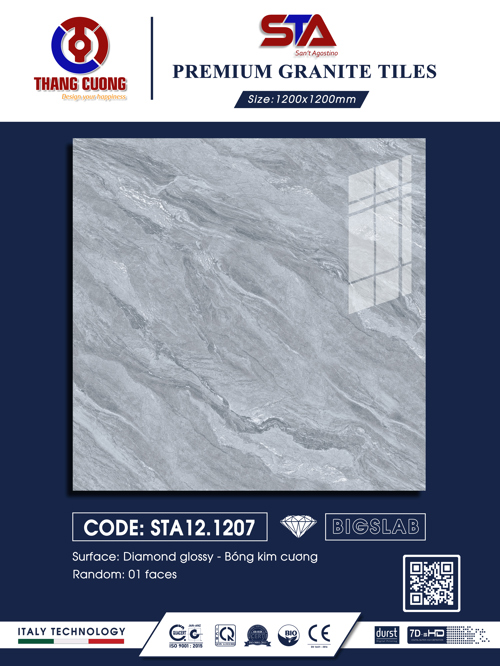 STA121207